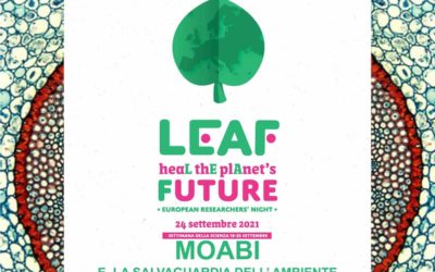 Moabi e la salvaguardia dell’ambiente